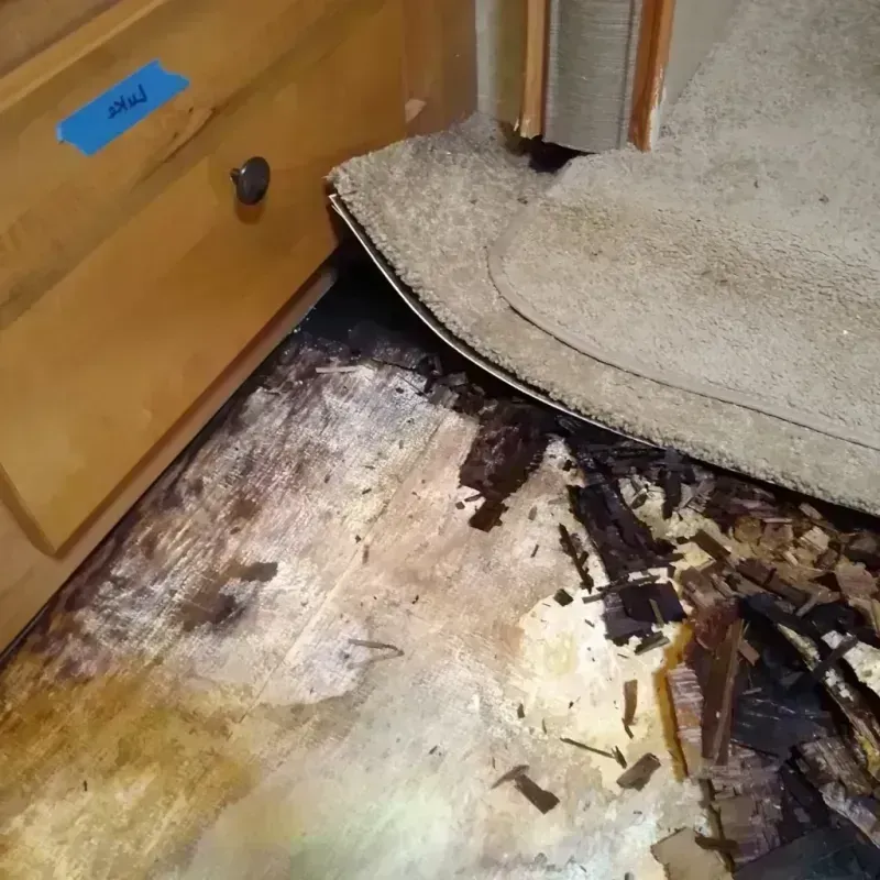 Wood Floor Water Damage in Bayside, CA